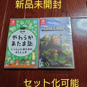 【新品未開封】やわらかあたま塾　&　マインクラフト