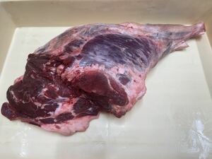猪肉　モモ肉　4.5kg (4500g) 後ろ足骨付き 