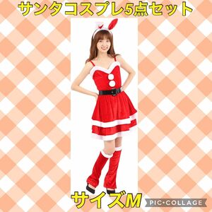 サンタコスプレ クリスマス うさ耳カチューシャ 網タイツ Mサイズ 5点セット