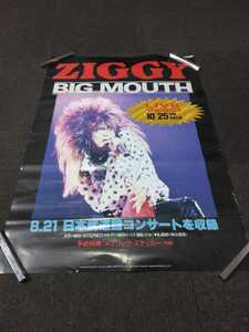 Ziggy ◇ B2 Size Poster ◇ Плакат объявления о выпуске видео