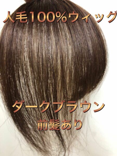 人毛ウィッグストレート　人毛部分ウィッグ　人毛ヘアピース　白髪染め