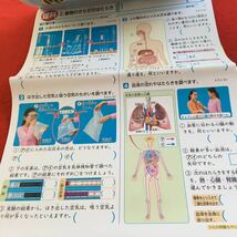 Y23-1066 基礎基本 理科A 6年生 ドリル 計算 テスト プリント 予習 復習 国語 算数 理科 社会 英語 家庭学習 非売品 青葉出版 リラックマ_画像4