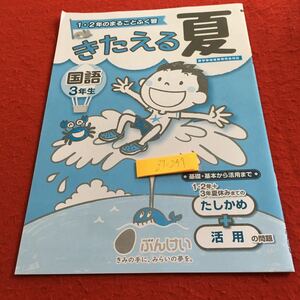 Z7-297 きたえる夏 国語 3年生 ドリル 計算 テスト プリント 予習 復習 算数 理科 社会 英語 家庭科 家庭学習 非売品 文溪堂