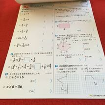 Z6-666 基礎から活用まで 算数α 6年生 ドリル 計算 テスト プリント 予習 復習 国語 算数 理科 社会 英語 家庭学習 非売品 新学社 タマ_画像4