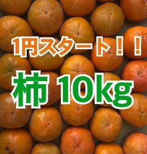 1円スタート！！富有柿 熊本・福岡