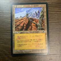 MTG 不毛の大地 テンペスト日本語1枚_画像1