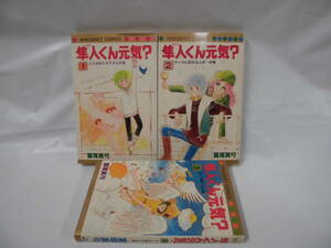 【隼人くん元気？　全3巻◆富塚真弓　マーガレットコミックス　1981年第1刷】5*6