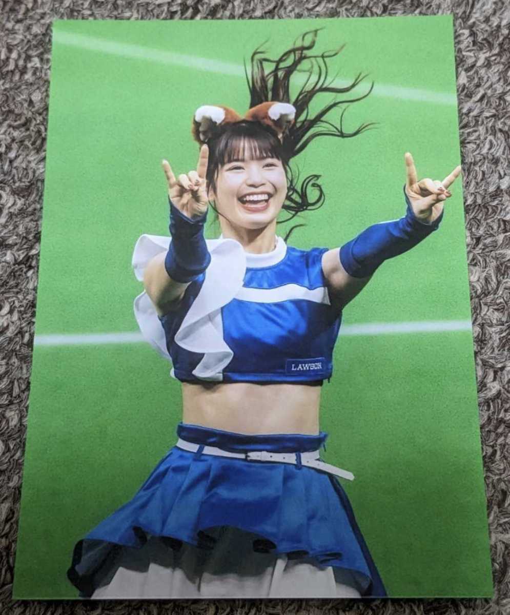 完成品 滝谷美夢等身大タペストリーとA2ポスター sushitai.com.mx