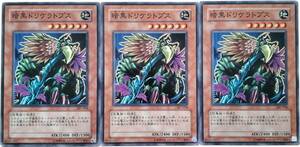 【遊戯王】暗黒ドリケラトプス 3枚セット ノーマル モンスター　効果