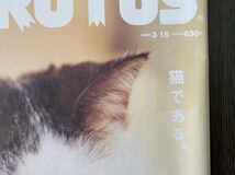 brutus 猫である。_画像2