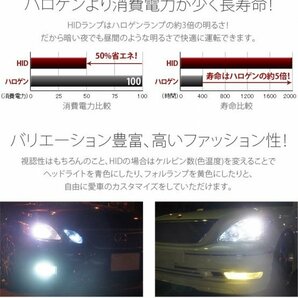 ニュープロフィア M/C後 H20.8〜H22.6 D2C 35W トラック用 ヘッドライト 純正交換用HIDバーナー 24V フィリップス キセノン 8000Kの画像3