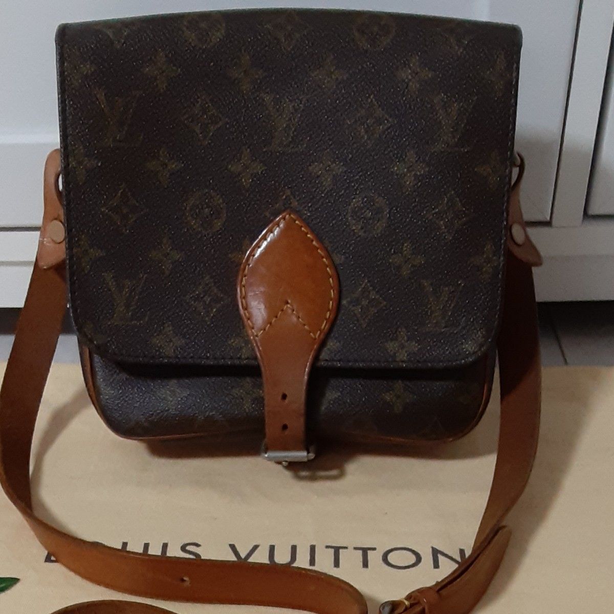 LOUIS VUITTON ルイヴィトン カルトシエール 22 ショルダーバッグ