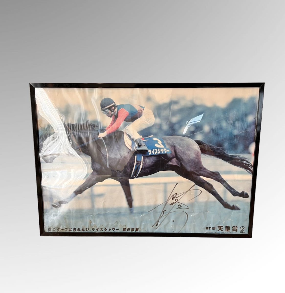 10500円 競馬 JRA ポスター ライスシャワー 非売品 B2 その他 www