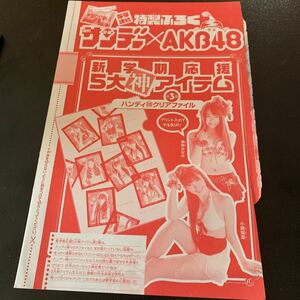 AKB48★ ハンディ神クリアファイル