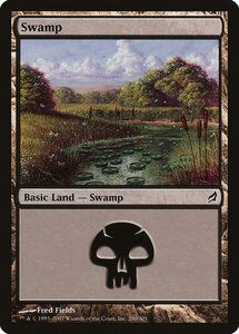 MTG ■土地/英語版■ 《沼/Swamp》ローウィン LRW