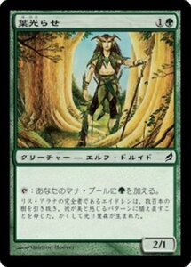 MTG ■緑/日本語版■ 《葉光らせ/Leaf Gilder》ローウィン LRW