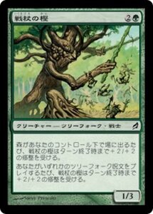 MTG ■緑/日本語版■ 《戦杖の樫/Battlewand Oak》ローウィン LRW