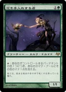 MTG ■緑/日本語版■ 《花を手入れする者/Bloom Tender》イーブンタイド EVE