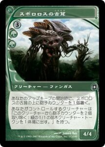 MTG ■緑/日本語版■ 《スポロロスの古茸/Sporoloth Ancient》未来予知 FUT