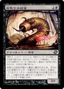 MTG ■黒/日本語版■ 《命取りの幼虫/Deadly Grub》次元の混乱 PLC