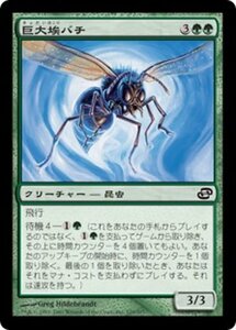 MTG ■緑/日本語版■ 《巨大埃バチ/Giant Dustwasp》次元の混乱 PLC