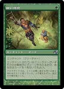 MTG ■緑/日本語版■ 《鋭い感覚/Keen Sense》次元の混乱 PLC