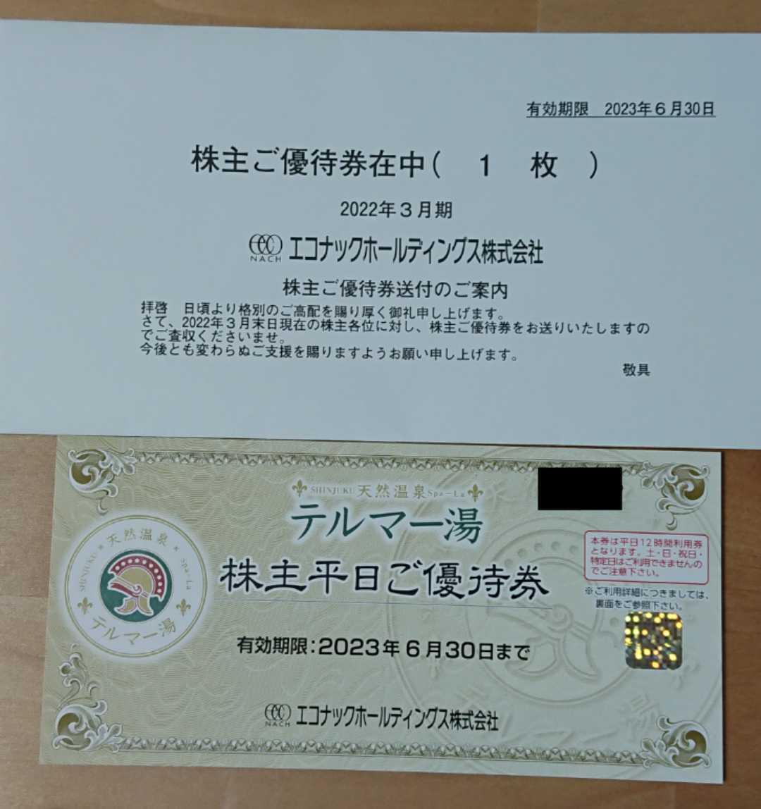 最適な価格 テルマー湯 株主平日ご優待券 エコナック株主優待 6月末迄有効 即発送 割引不可 ienomat.com.br