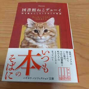 図書館ねこデュ―イ