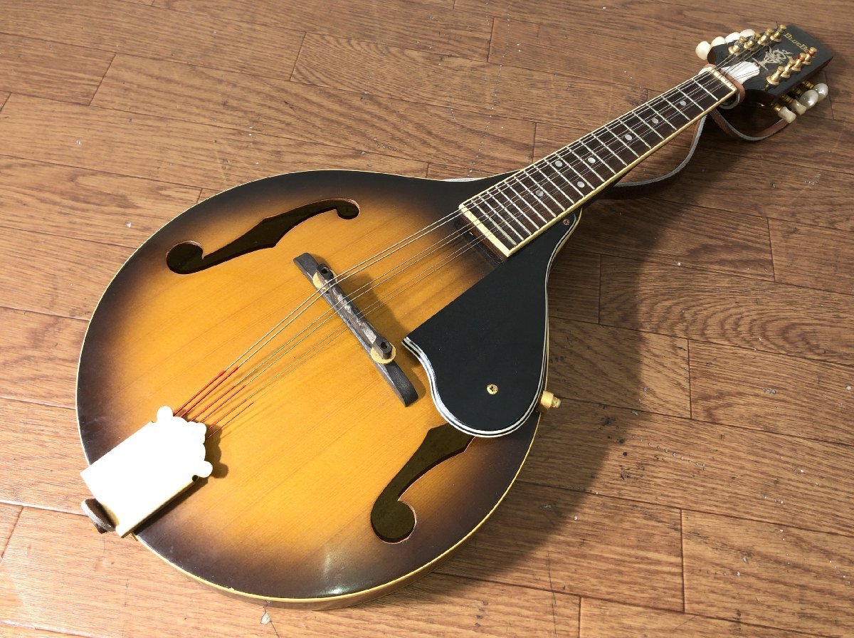 ヤフオク! -「bluebell」(マンドリン) (弦楽器)の落札相場・落札価格