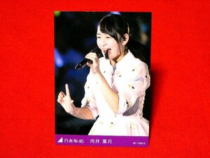 乃木坂46　5thYear　BirthdayLive　非売品カードトレカ　向井葉月