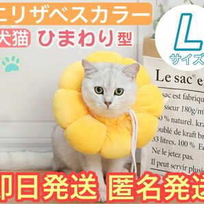 【即日発送】Lサイズ　エリザベスカラー 手術後 小動物 犬 猫　去勢 黄色 寒さ対策 にゃんこ あったか 小動物 犬猫 ワンちゃん