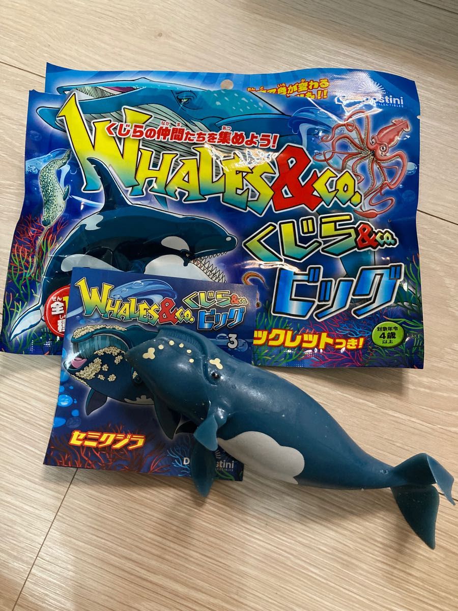 ディアゴスティーニ WHALES＆CO くじら＆CO 箱セット 8個入り 新品未