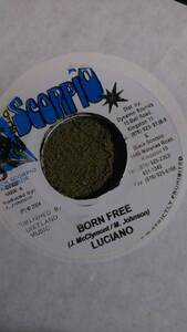 Roots Ragga Track Born Free Riddim Single 3枚Set from Black Scorpio Luciano Mikey General Turbulence