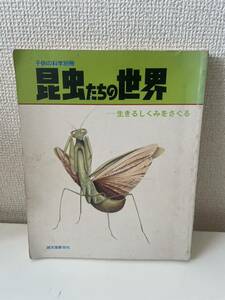 【子供の科学別冊 昆虫たちの世界 生きるしくみをさぐる】誠文堂新光社 昭和50年