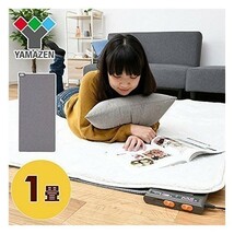 山善 新品 ダニ退治機能 ホットカーペット本体(1畳タイプ) NU-102 未使用品_画像5