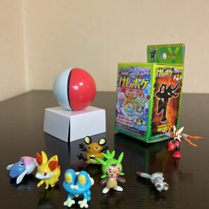 けしポケ XY 第1弾 全7種 中古品 シークレット メガバシャーモ 御三家 フォッコ ケロマツ ハリマロン 他 フィギュア ポケモンの画像1