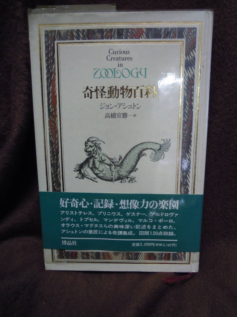 2023年最新】Yahoo!オークション -アシュトンの中古品・新品・未使用品一覧