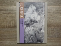 没後30年 川端康成 - 文豪が愛した美の世界 ／ 図版 (図録) ／ 2002-2003年（平成14-15年） 東京 京都_画像1