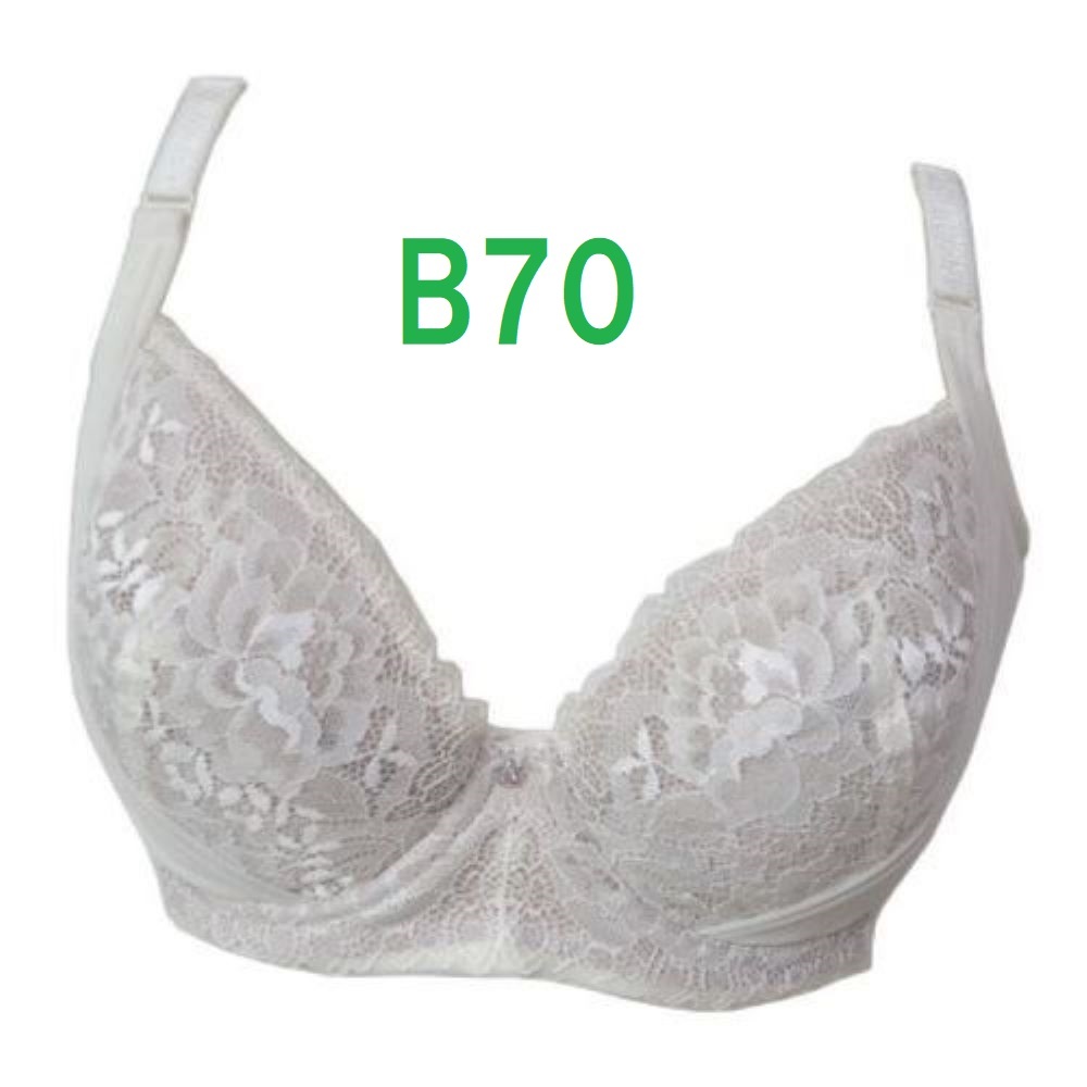 補正下着】プレアンデ 1/2カップロングブラジャー キャミソール B70