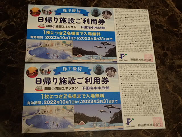 新品】 東急ハーベストクラブ 宿泊利用券 2023年3月末日まで有効