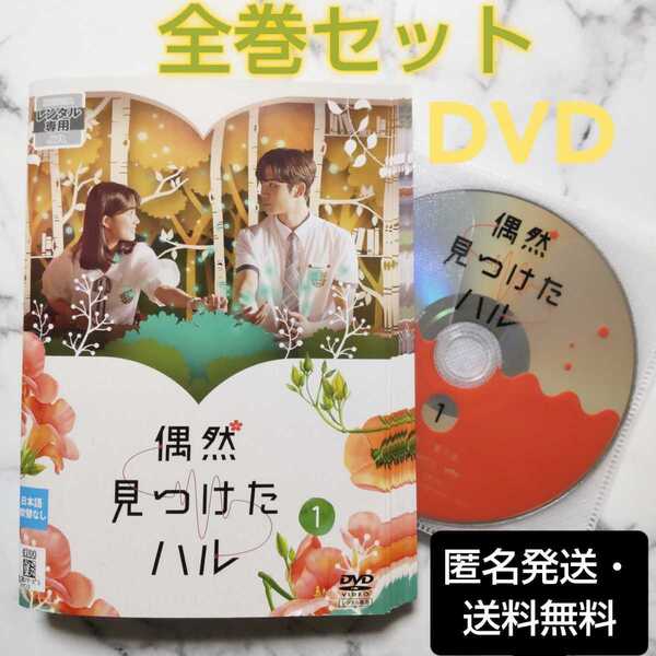 キム・ヘユン★ロウン(SF9)『偶然見つけたハル』レンタル落ちDVD★全巻★韓国ドラマ