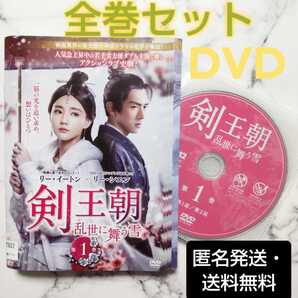 リー・シエン★リー・イートン『剣王朝 乱世に舞う雪』レンタル落ちDVD★全巻★中国ドラマ