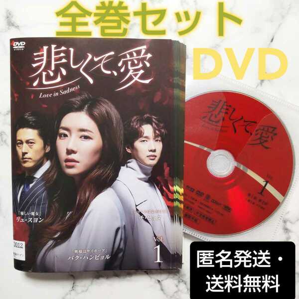 チ・ヒョヌ★パク・ハンビョル★リュ・スヨン『悲しくて、愛』レンタル落ちDVD★全巻★韓国ドラマ