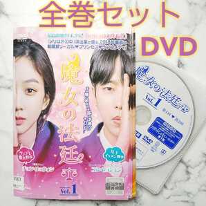 チョン・リョウォン★ユン・ヒョンミン『魔女の法廷』レンタル落ちDVD★全巻★韓国ドラマ