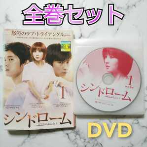 ハン・ヘジン★パク・コニョン『シンドローム』レンタル落ちDVD★全巻★韓国ドラマ