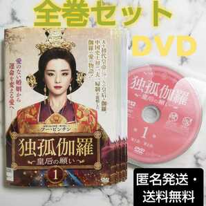 フー・ビンチン★チャン・ダンフォン『独孤伽羅 皇后の願い』レンタル落ちDVD★全巻★中国ドラマ