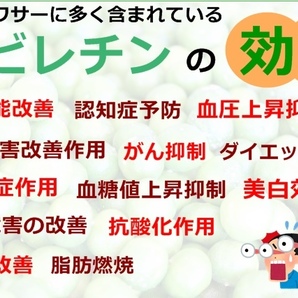 青切りシークヮーサー 業務用沖縄県産1.5L ＆ 大宜味村産2L お試しセット 原液 シークワーサー ストレート ジュース 果汁100％ ノビレチンの画像6