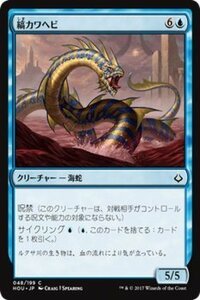 MTG マジック：ザ・ギャザリング 縞カワヘビ コモン 破滅の刻 HOU-048