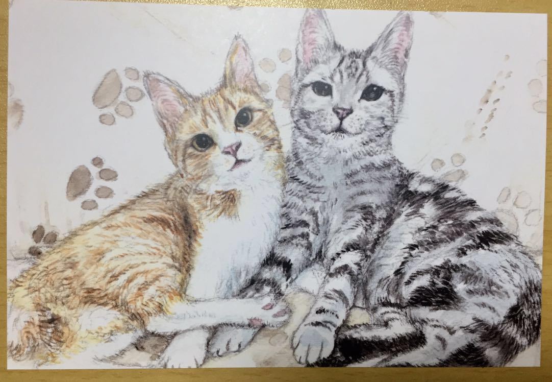 Original obra de arte dibujada a mano ilustración postal gato reproducción gato atigrado gato americano de pelo corto ilustración acuarela [Shizuka Aoki], animal, gato, gatos en general