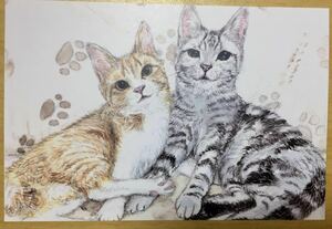 Art hand Auction オリジナル 手描きイラスト ポストカード 猫 複製 トラ猫 アメショー アメリカンショートヘア 猫イラスト 水彩【あおきしずか】, 動物, ネコ, ネコ一般